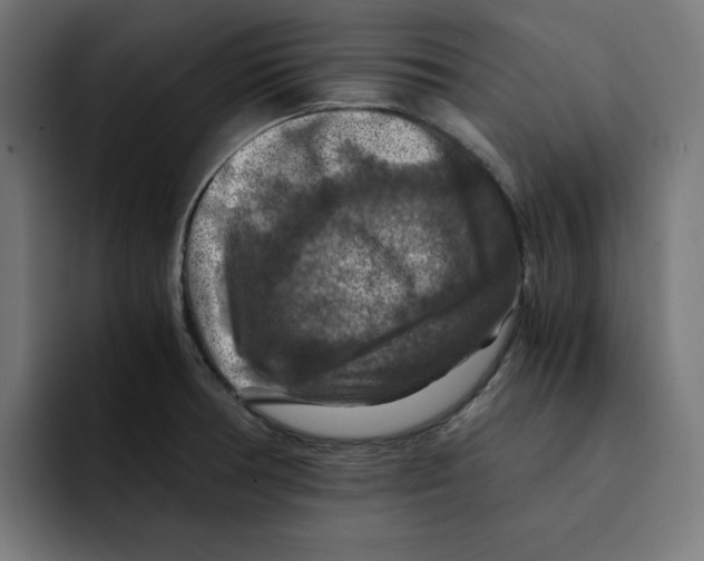 X0000092001378200710041000