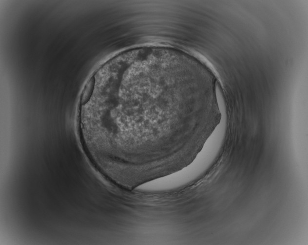 X0000092001379200710041000