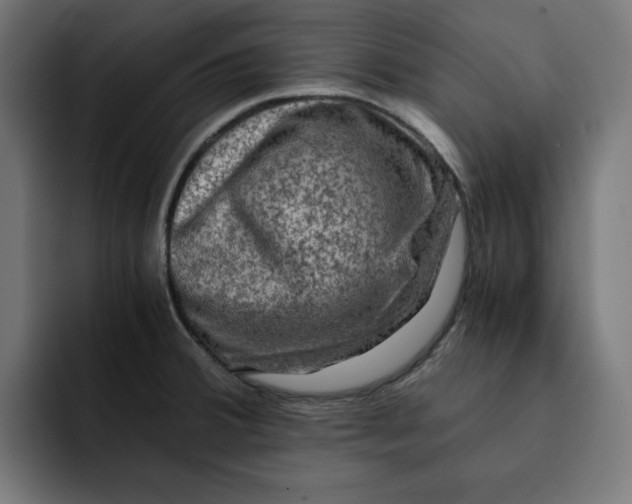 X0000092001380200710041000