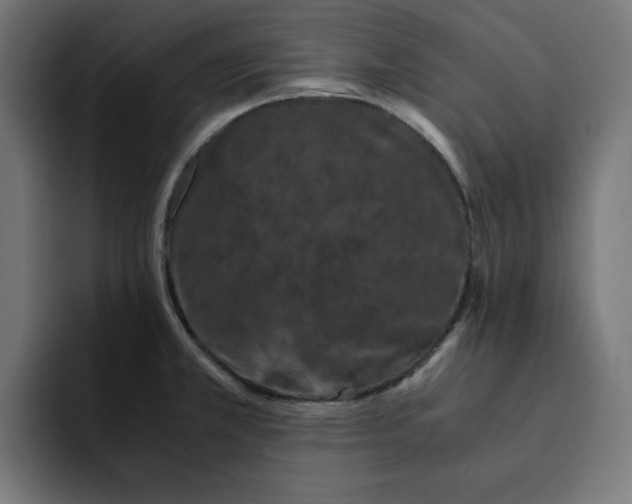 X0000092001381200710041000