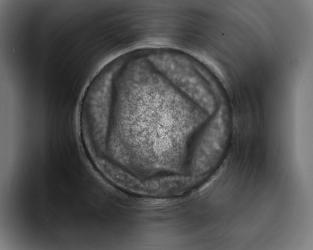 X0000092001382200710041000