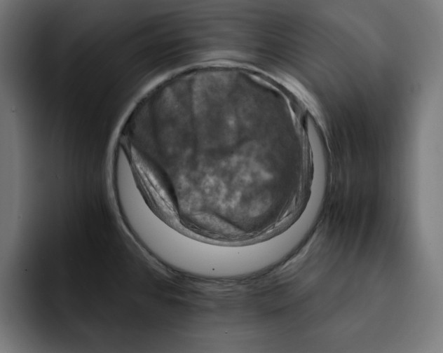 X0000092001384200710041000