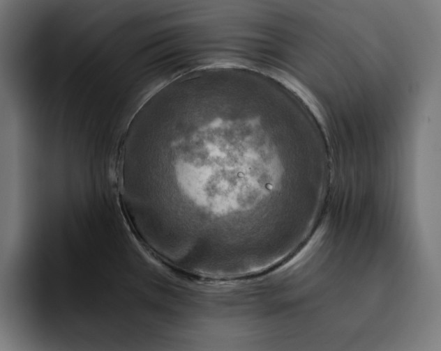 X0000092001385200710041000