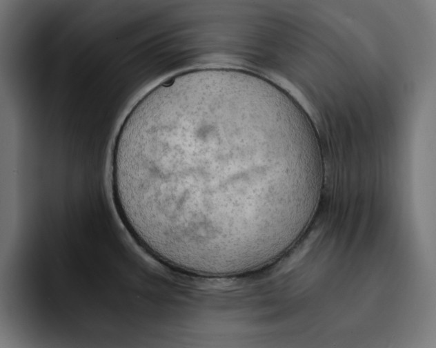 X0000092001387200710041000