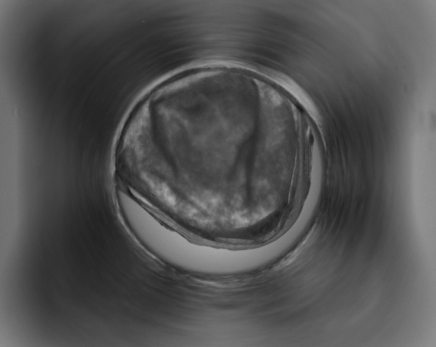 X0000092001388200710041000