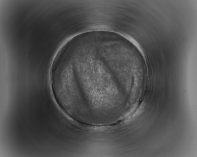 X0000092001389200710041000