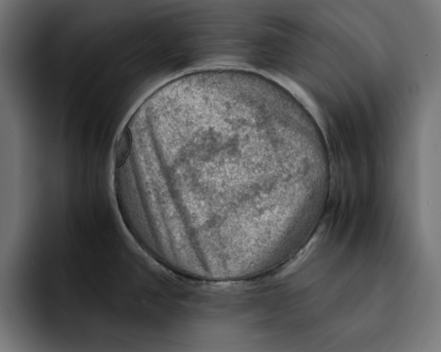 X0000092001390200710041000