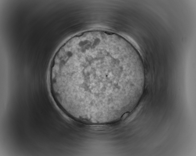 X0000092001391200710041000