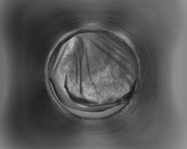 X0000092001392200710041000