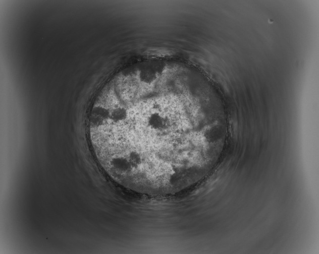 X0000092001393200710040959