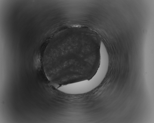 X0000092001394200710040959