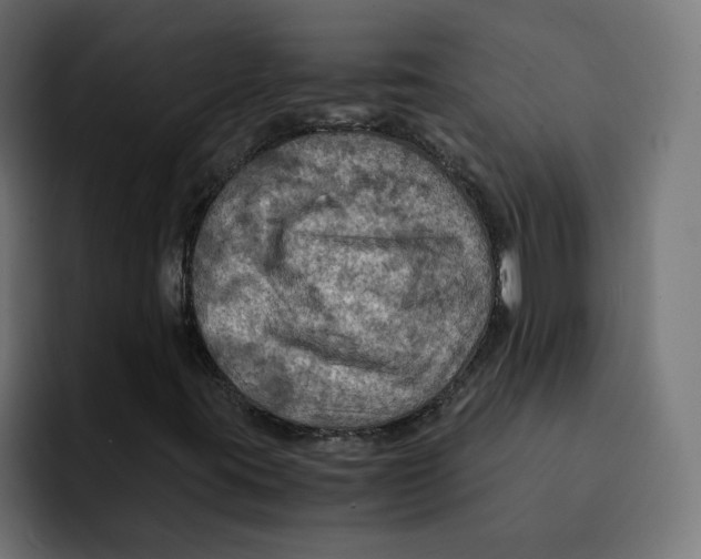 X0000092001395200710040959