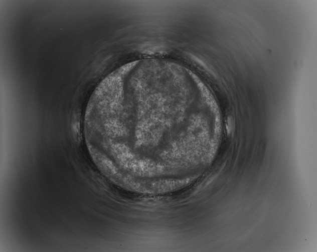 X0000092001396200710040959