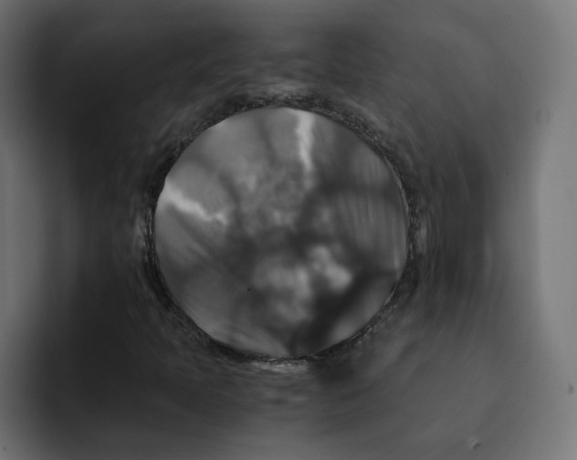 X0000092001397200710040959