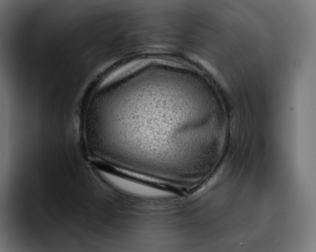 X0000092001402200710040959