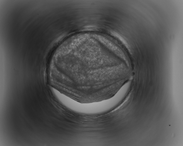 X0000092001403200710040959