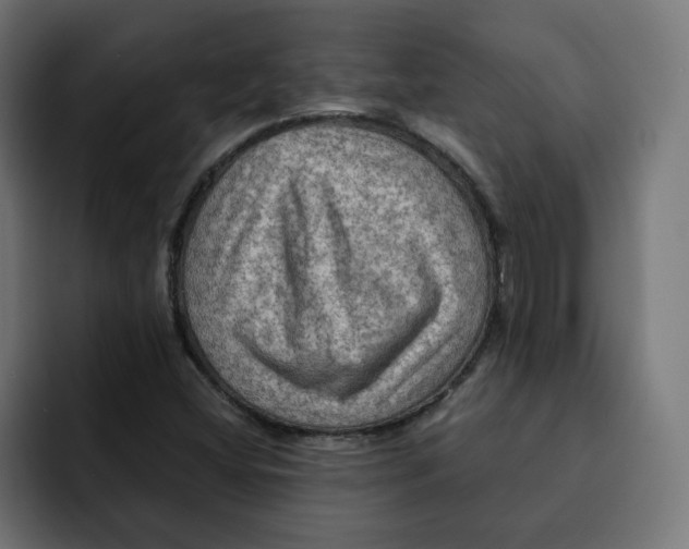 X0000092001404200710040959