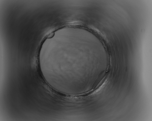 X0000092001405200710040959