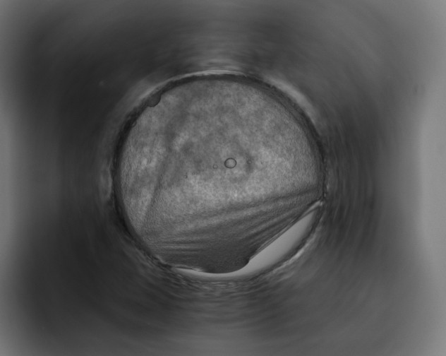 X0000092001407200710040959