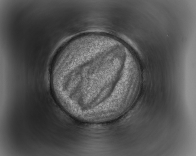 X0000092001408200710040959