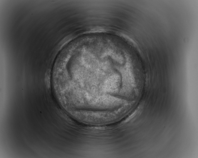 X0000092001409200710040959