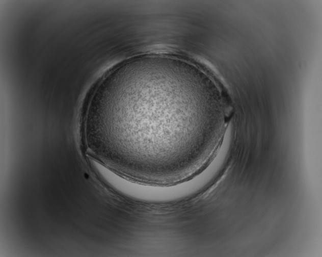 X0000092001410200710040959