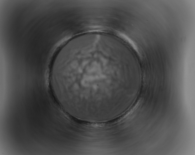 X0000092001411200710040959