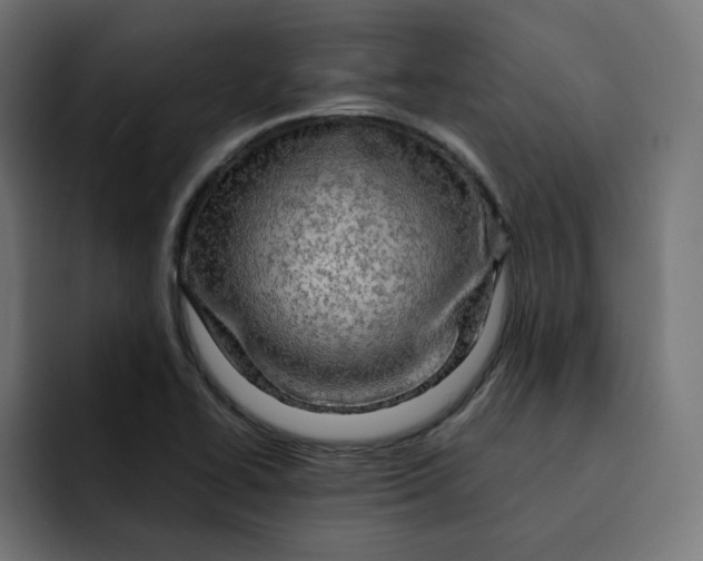 X0000092001414200710040959