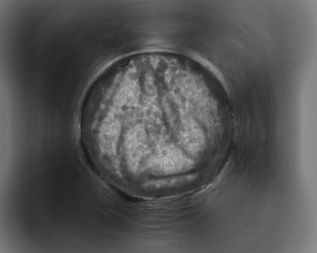 X0000092001415200710040959