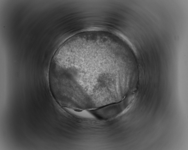 X0000092001417200710040959