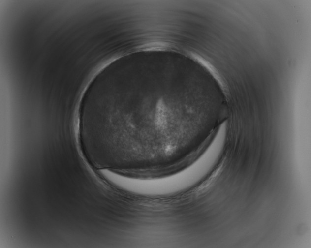 X0000092001418200710040959