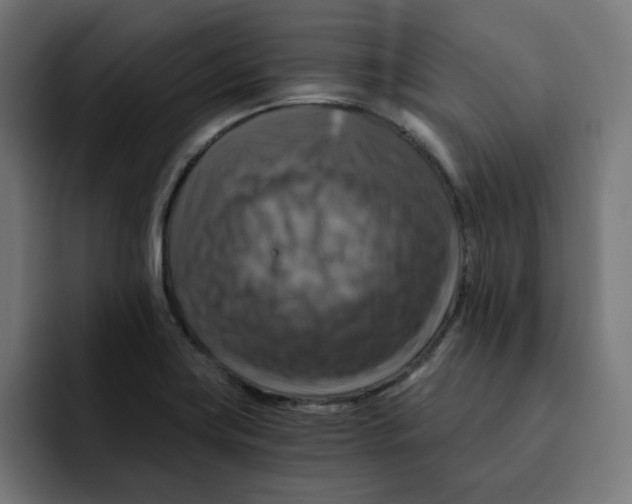 X0000092001419200710040959