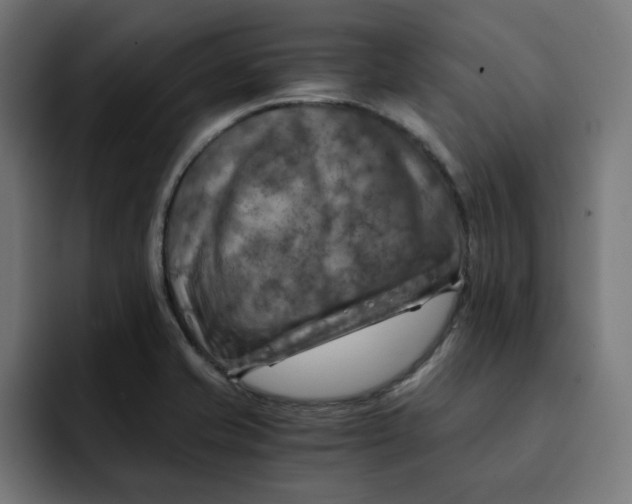 X0000092001421200710040959