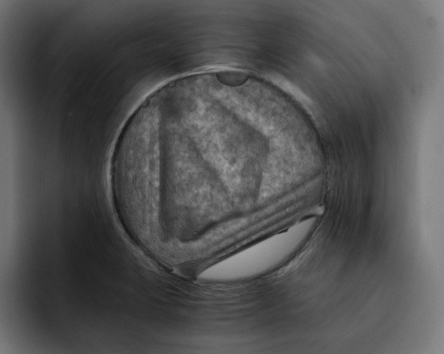 X0000092001423200710040959