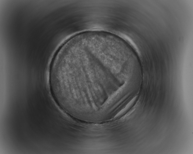 X0000092001424200710040959