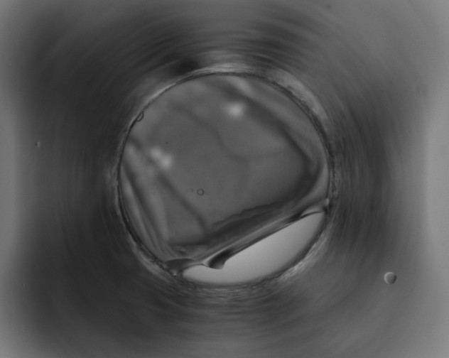 X0000092001425200710040959