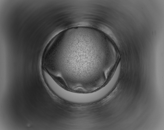 X0000092001426200710040959