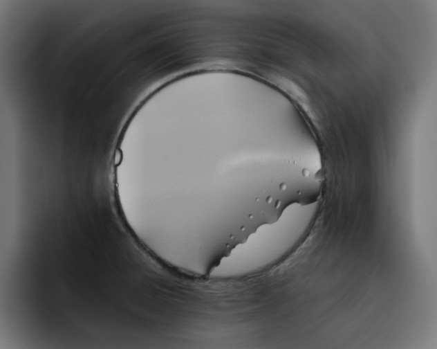 X0000092001428200710040959