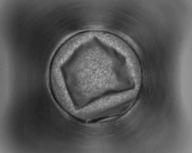 X0000092001432200710040959