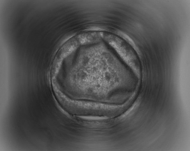 X0000092001433200710040959