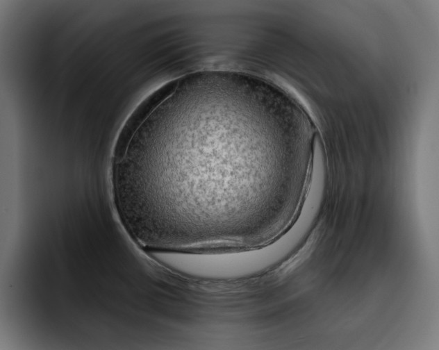 X0000092001434200710040959