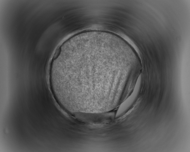 X0000092001437200710040959