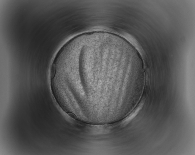 X0000092001438200710041000