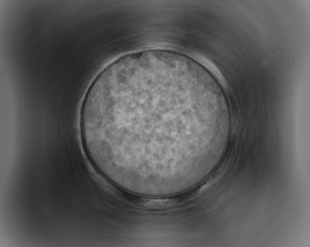 X0000092001439200710041000