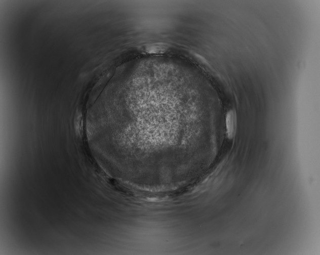 X0000092001443200710040959