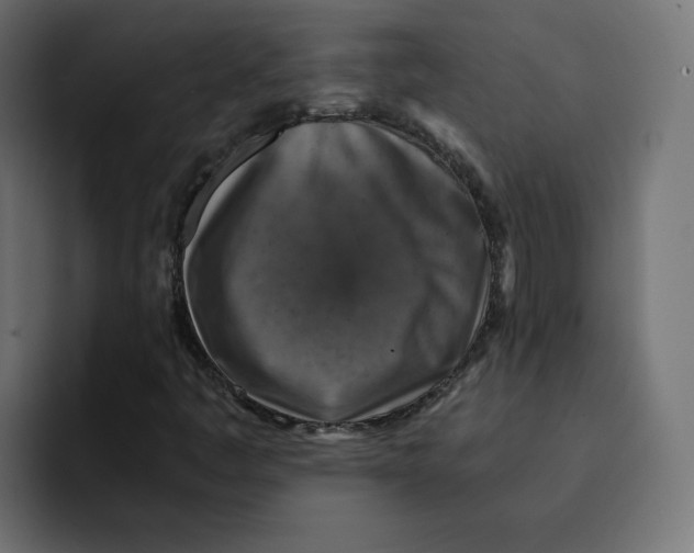 X0000092001445200710040959