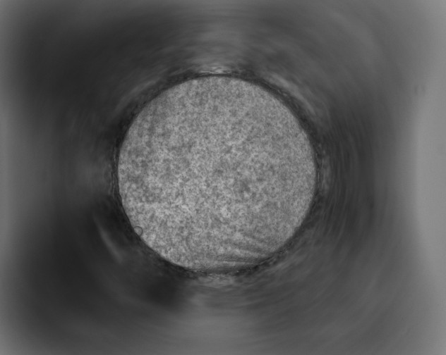 X0000092001446200710040959