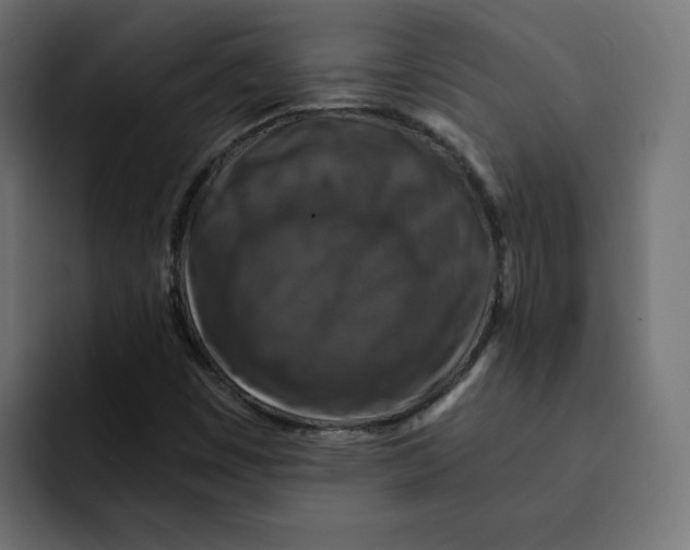 X0000092001449200710040959