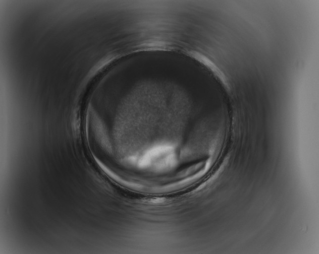 X0000092001450200710040959