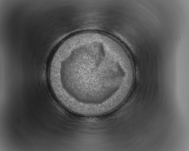 X0000092001452200710040959